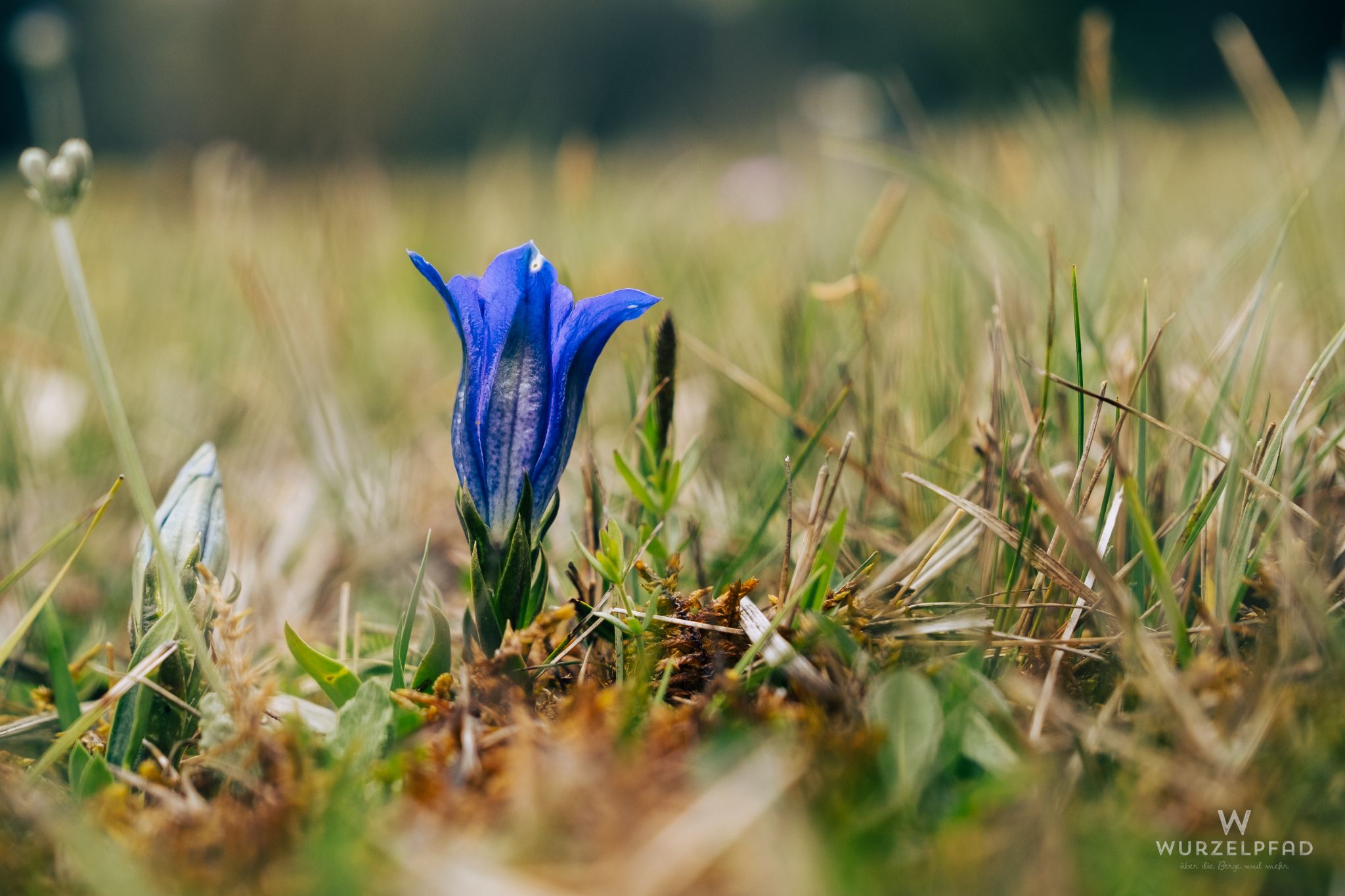 Wanderung im Babenstubener Moor